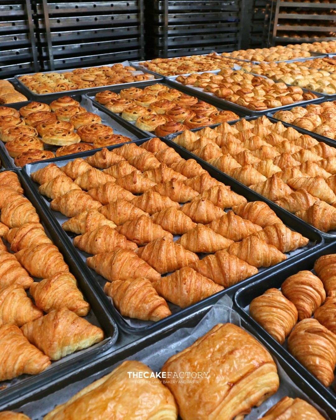 TheCake Factory: trays of croissants