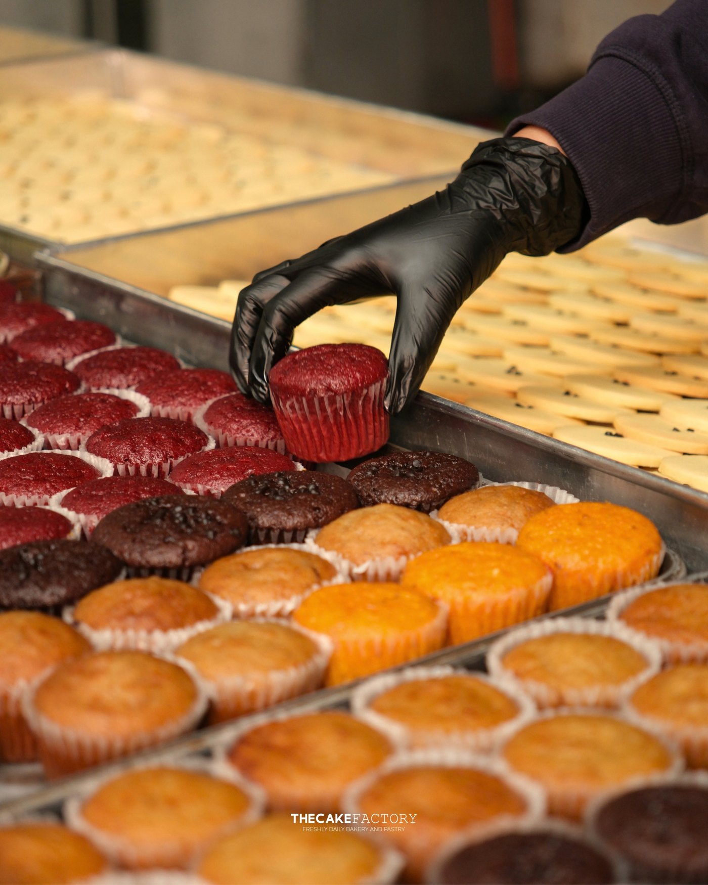 TheCake Factory: finishing cupcakes by hand