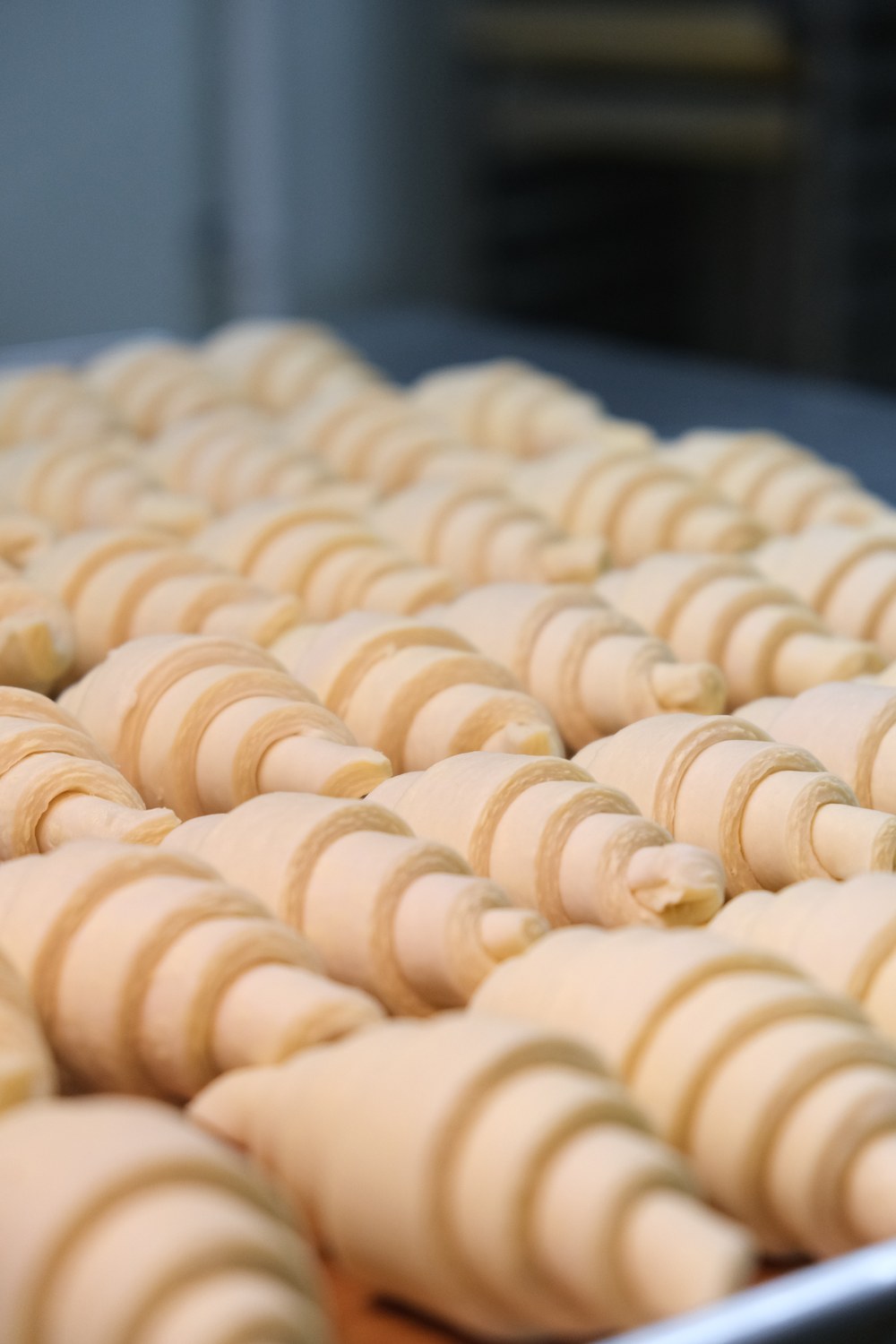 Rows of shaped frozen croissant dough