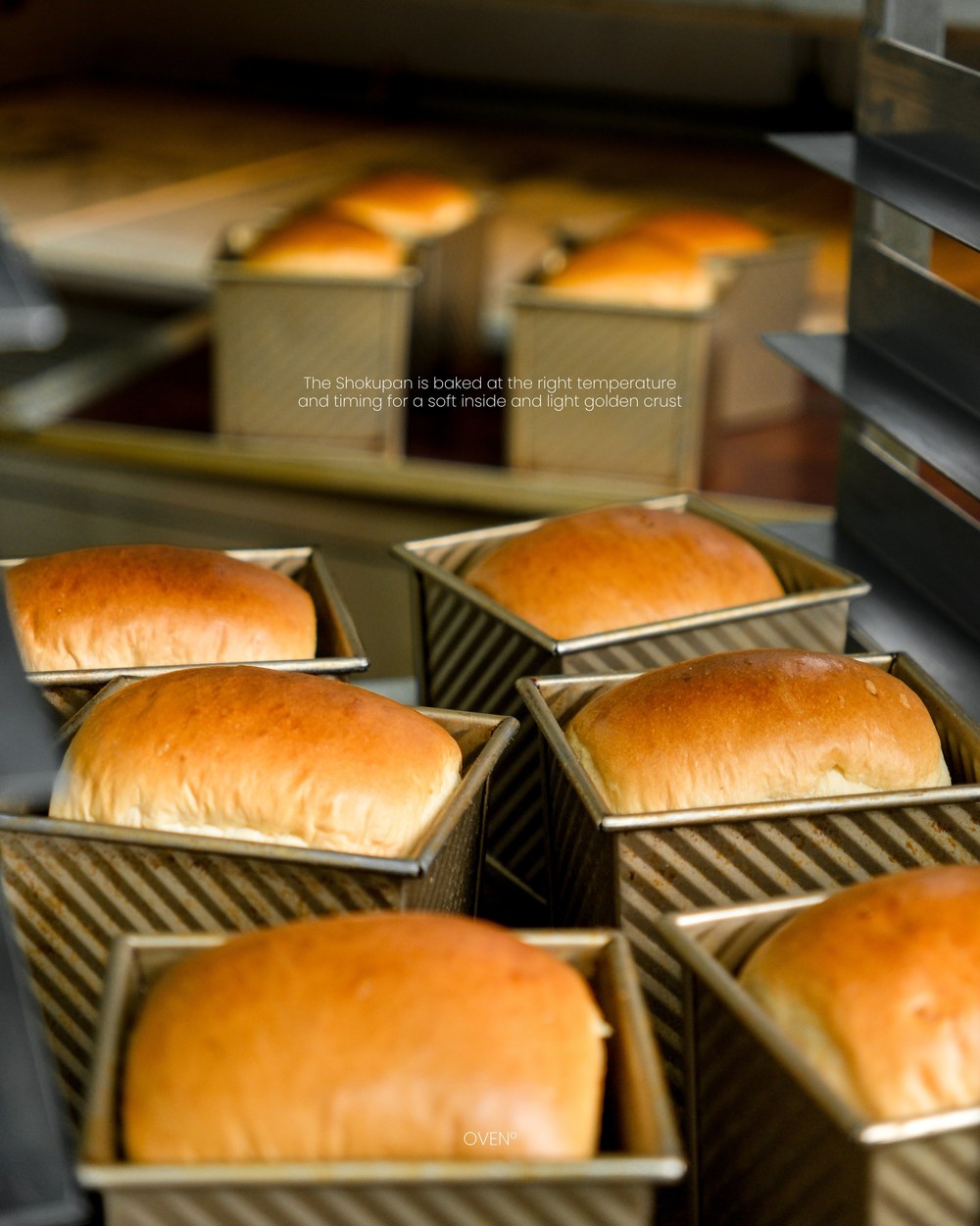 Shokupan loaves baked in golden tins